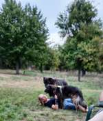 Hundeauslaufgebiet-Streuobstwiese-Bild