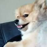 Ersteller:in Meltem Profilbild