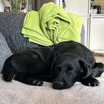 Ersteller:in Eva Profilbild