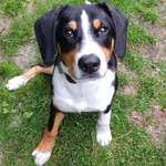 Ersteller:in Martina Profilbild