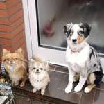 Ersteller:in Anna-Lena Profilbild