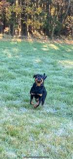 Fotochallange Nr. 6 Die irrsten Blicke-Beitrag-Bild