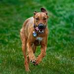 Ersteller:in Lena Profilbild