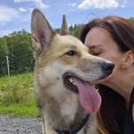 Ersteller:in Nicole Profilbild