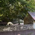 Ersteller:in Sarah Profilbild