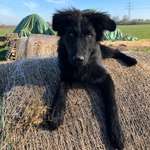 Ersteller:in Nico Profilbild