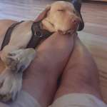 Ersteller:in Karl Profilbild