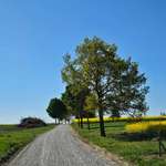 Hundeauslaufgebiet-Oberdürrbach Richtung Rotkreuzhof-Bild