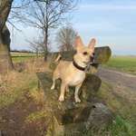 Ersteller:in Lena Profilbild