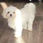 Ersteller:in Jannick Profilbild