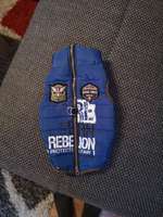 Hundejacke bzw Pullover-Beitrag-Bild