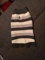 Hundepullover-Beitrag-Bild