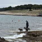 Ersteller:in Yaël Profilbild