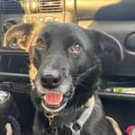 Ersteller:in Kira Profilbild