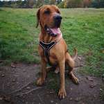 Ersteller:in Timo Profilbild