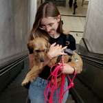 Ersteller:in Jana Profilbild