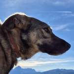 Ersteller:in Andy Profilbild