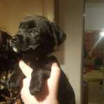 Ersteller:in Franziska Profilbild