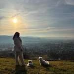 Ersteller:in Romina Profilbild