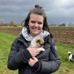 Ersteller:in Sina Profilbild