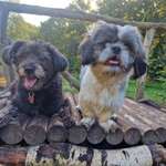 Ersteller:in Pamela Profilbild