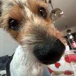 Ersteller:in Bea & Dobby Profilbild