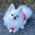 Ersteller:in Emily Profilbild