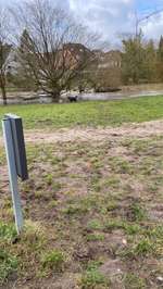 Hundeauslaufgebiet-Riesebusch/Bad Schwartau-Bild