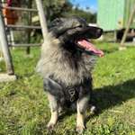 Ersteller:in Jenny Profilbild