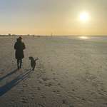 Ersteller:in Isabelle Profilbild