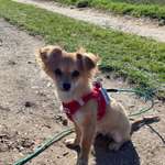 Ersteller:in Silke Profilbild