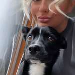 Ersteller:in sandra Profilbild