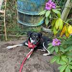 Ersteller:in Jennifer Profilbild