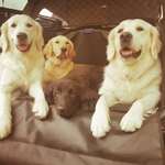 Ersteller:in Sandra Profilbild