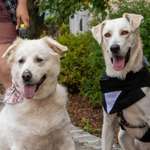 Ersteller:in Christian Profilbild