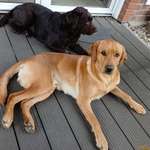 Ersteller:in Laura Profilbild