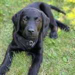 Ersteller:in Mina Profilbild