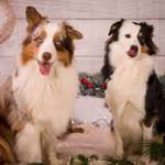 Ersteller:in Sarah Profilbild