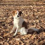 Ersteller:in Nina Profilbild