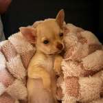 Ersteller:in Lea Profilbild