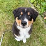 Ersteller:in Jana Profilbild