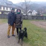 Ersteller:in Stefanie Profilbild