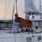 Ersteller:in Cosima Profilbild