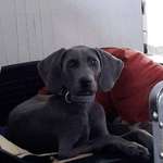 Ersteller:in Iris Profilbild