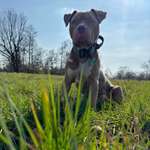 Ersteller:in Van Profilbild