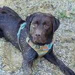 Ersteller:in Fibsey Profilbild