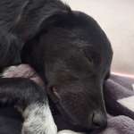 Ersteller:in Petra Profilbild