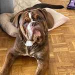 Ersteller:in Selin Profilbild