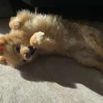 Ersteller:in Marie Profilbild