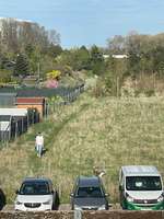 Hundeauslaufgebiet-Neumarkt-Bild